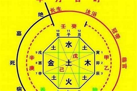 五行喜火土|八字入门基础 第六篇 如何判断八字喜用神